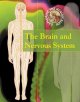 The brain and nervous system  Cover Image