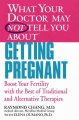 What your doctor may not tell you about getting pregnant : boost your fertility with the best of traditional and alternative therapies  Cover Image